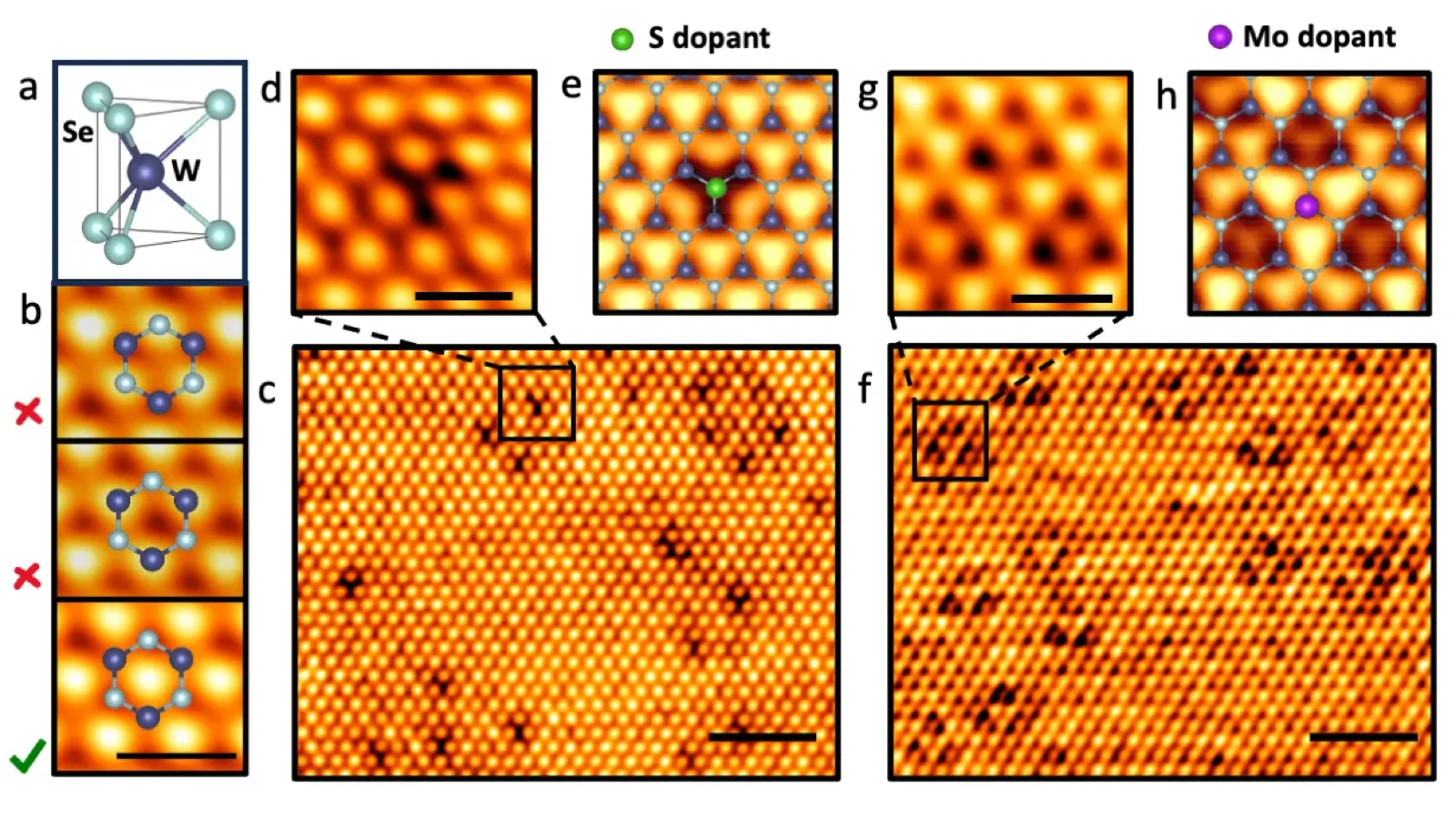 Published real-space maps showing the valence-band charge-density shift from atomic to hollow sites in WSe₂