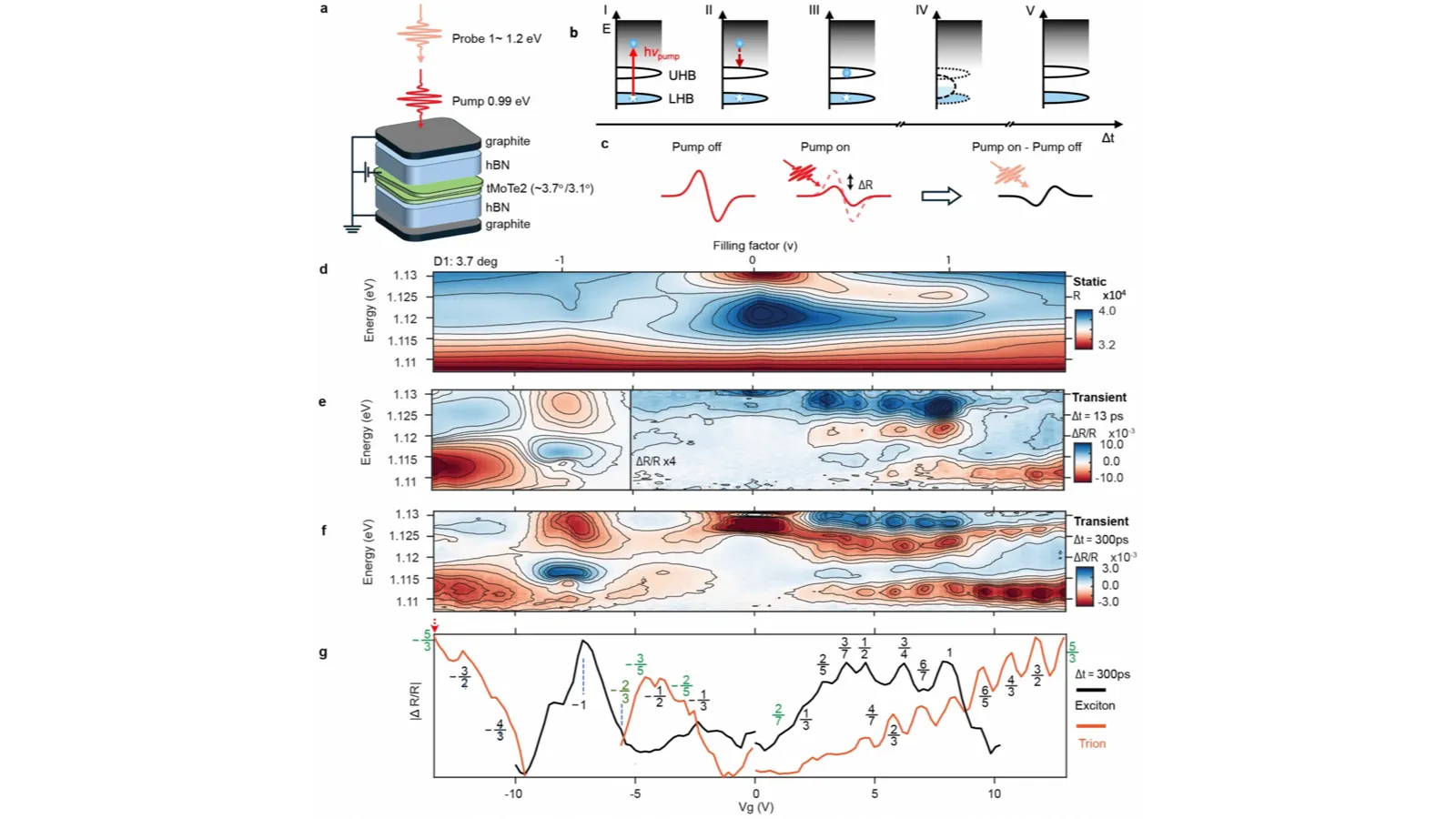 Pump-probe spectroscopy of twisted MoTe₂, from the device and excitation sequence to transient optical maps revealing fractional-filling states