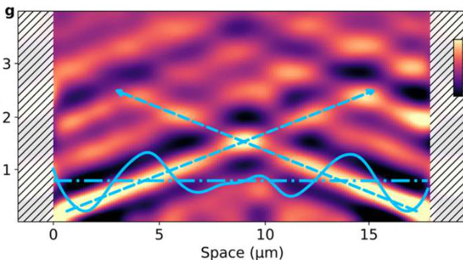 Measured plasmon dispersion and dynamics in graphene from panel g of the published figure
