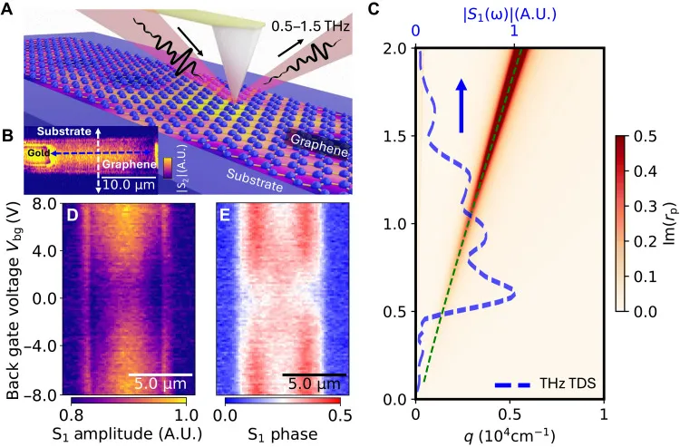 Terahertz near-field probe of graphene, with amplitude and phase maps versus gate voltage and the measured plasmon dispersion