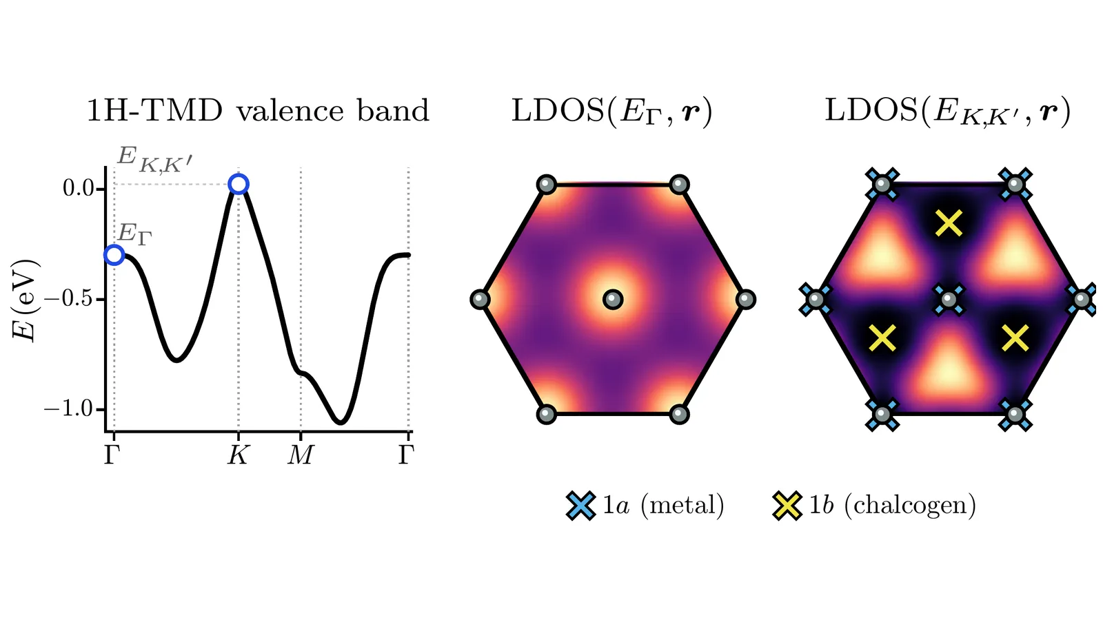Figure 1 of the preprint showing the 1H-TMD valence band and the contrasting local density of states at the Gamma and K valleys, with symmetry-enforced wavefunction zeros marked in real space
