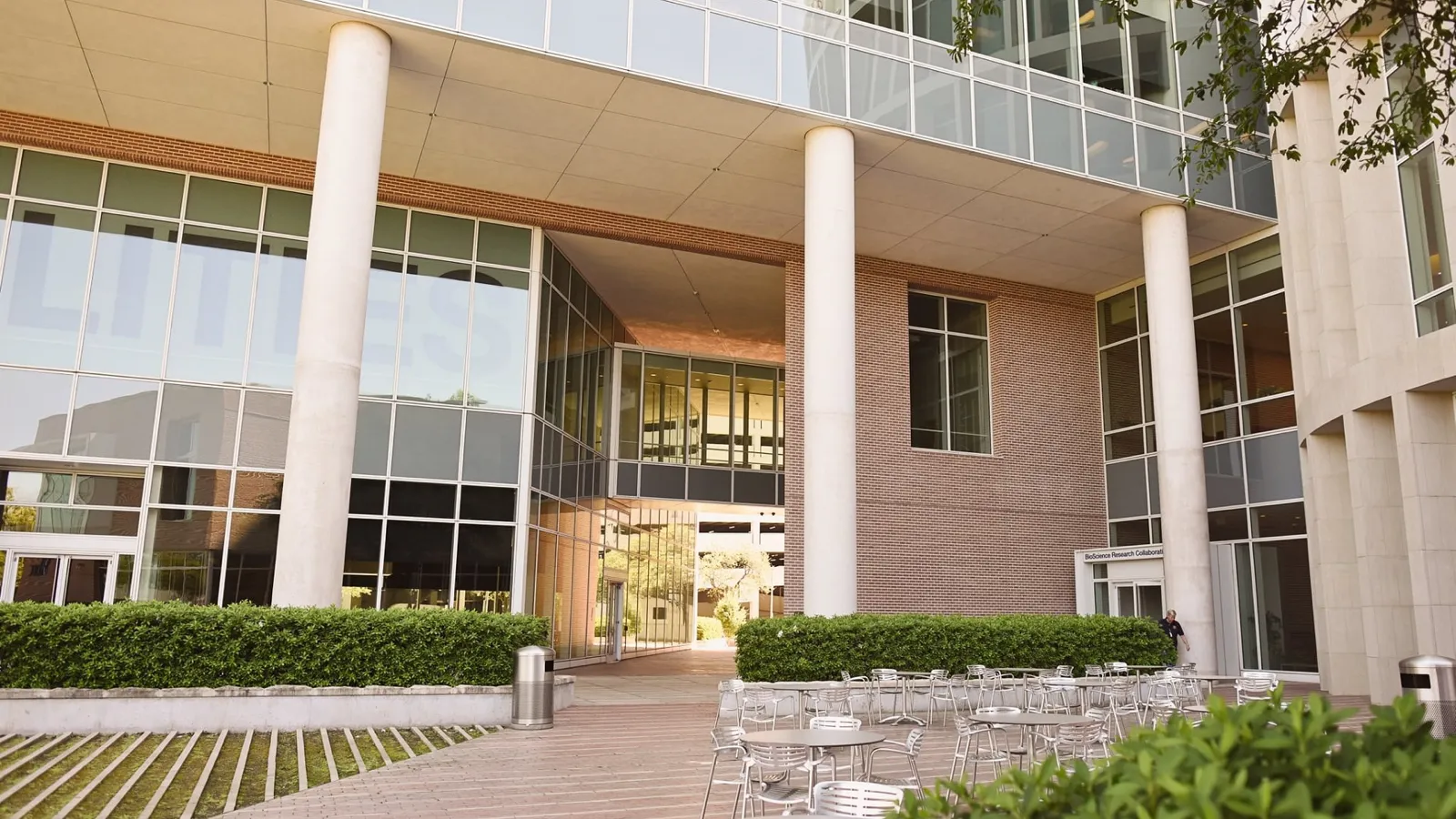 Rice University venue for the recorded talk on chiral Landau levels and twisted heterostructures